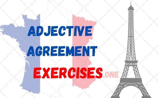 practice adjective agreement french