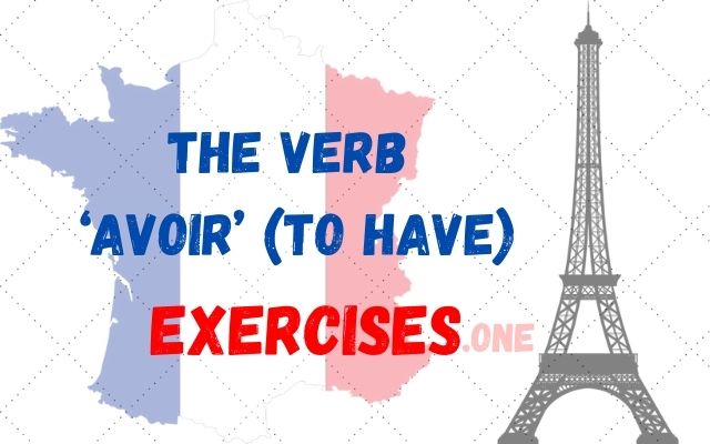 practice the verb avoir to have french