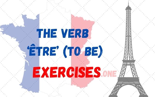 practice the verb etre to be french