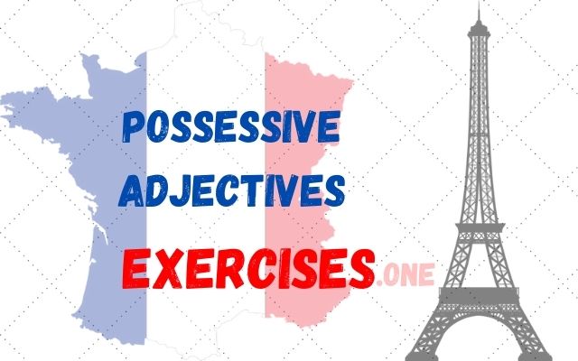 practice possessive adjectives french