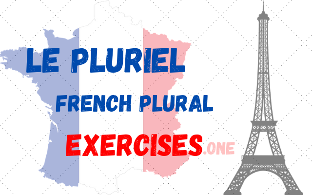practice french plural exercises