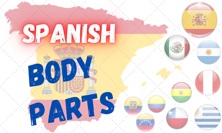 spanish body parts exercises