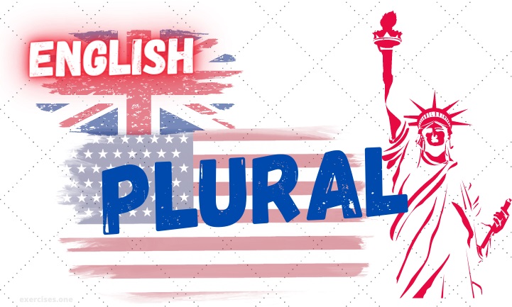 english plural exercises