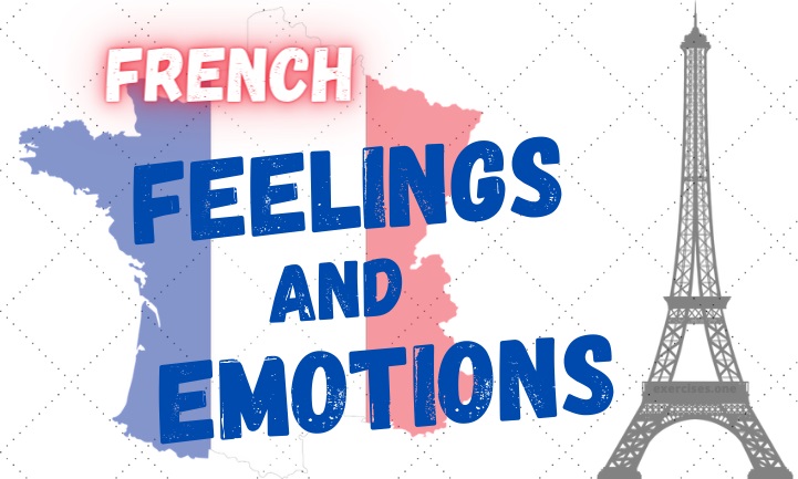 french feelings and emotions exercises
