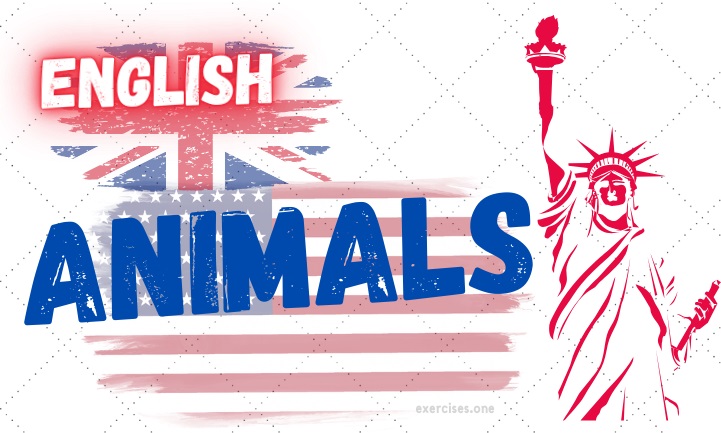english animals vocabulary exercises