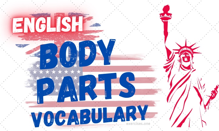 english body parts vocabulary exercises